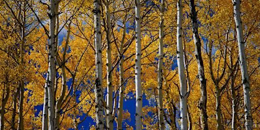 Fall Equinox Frolic: Women's Workshop & Trail Run/Hike | Beaver Brook Watershed Trailhead