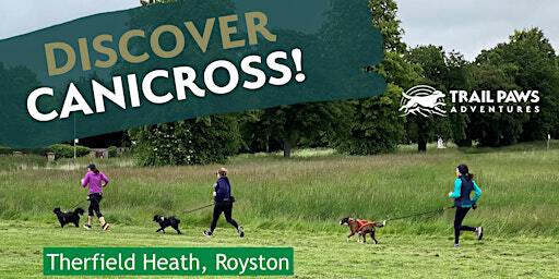 Discover Canicross | Therfield Heath, Baldock Road, Royston, UK