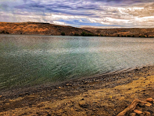 Adventurous Scavenger Hunt! - Vale‘s Downtown Dash & Dig | 860 Washington St E