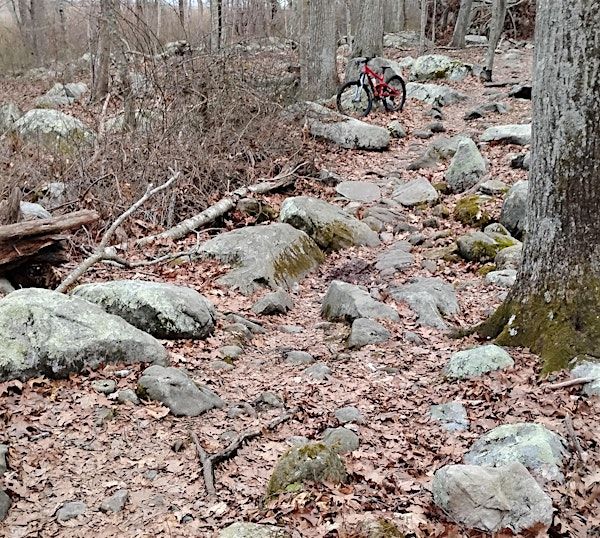 Advanced Technical MTB Skills Group Ride - Bluff Point, Groton, CT | Bluff Point State Park