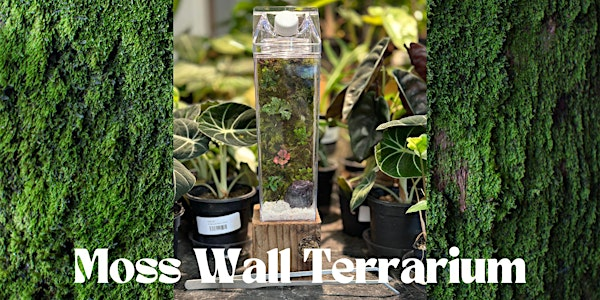Moss Wall Terrarium | Stem and Roots: House Plant Boutique