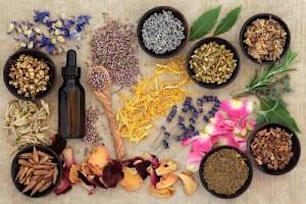 Tincture Magic: From Plant to Potion Pt.1 | 19400 Bentler St