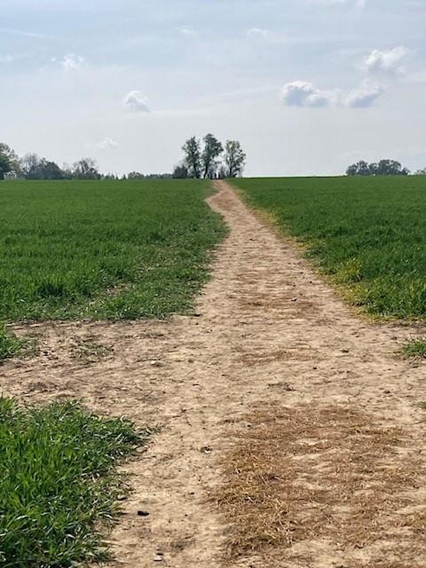St Edmund's Pilgrimage - Bury St Edmunds Circular via Rushbrooke and Nowton | St Edmundsbury Cathedral