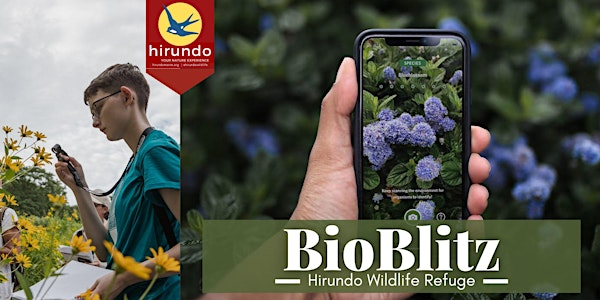 July BioBlitz | Hirundo Wildlife Refuge