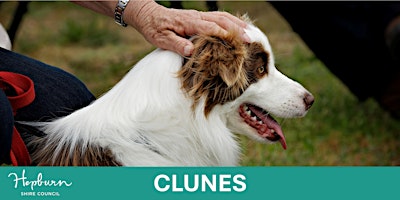 Working Dog Training School (Clunes) | Clunes