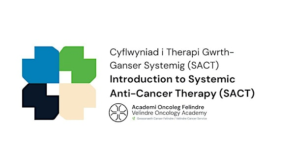 Introduction to Systemic Anti-Cancer Therapy (SACT) Course | Noddfa Skills Lab