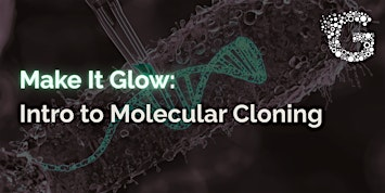 Make It Glow: Intro to Molecular Cloning | Genspace