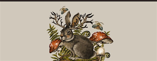 The Female History of Fairy Tales | Brighthelm Centre