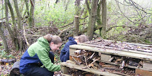 Teen Rangers - Sutton Courtenay, Saturday 3 October | Sutton Courtenay Environmental Education Centre