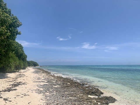 沖縄/竹富島】星の砂みっけ！カイジ浜 | Trip.com 竹富島