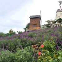 Sirao Flower Garden (Mini Amsterdam)