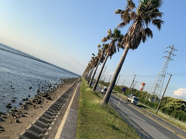 【千葉観光】千葉でカリフォルニア気分！？