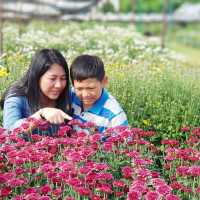 เที่ยวสวนดอกไม้​🌷🌻 