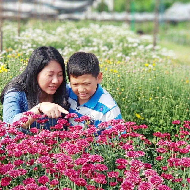 เที่ยวสวนดอกไม้​🌷🌻 
