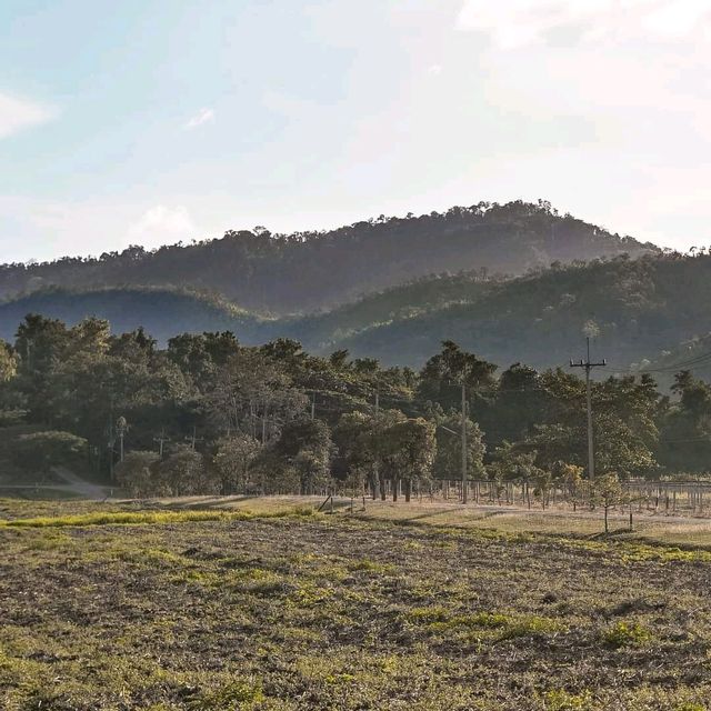 พาเที่ยว PB Valley เขาใหญ่