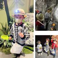 【 帶你走進侏羅紀恐龍樂園 】 
