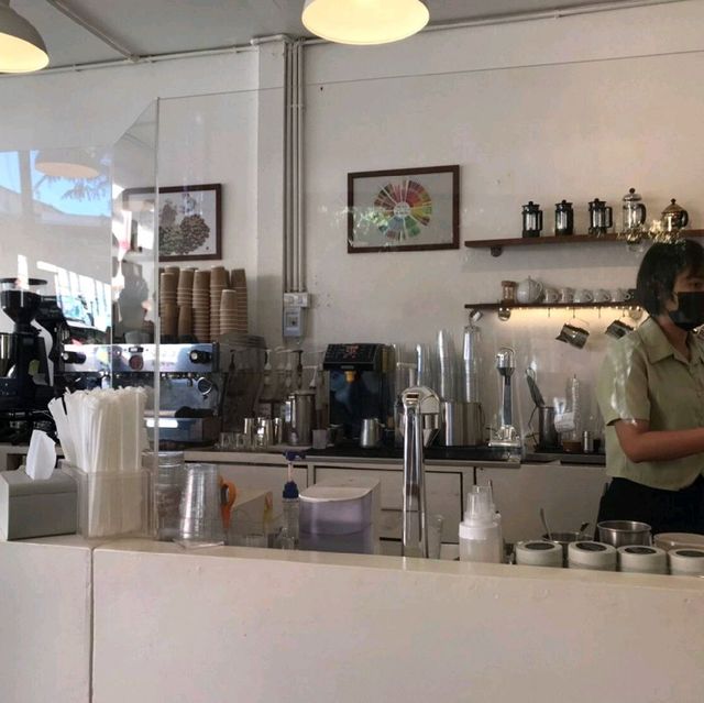 Anna Coffee 