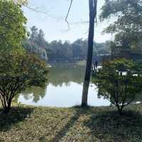 Lushu Park - Changzhou