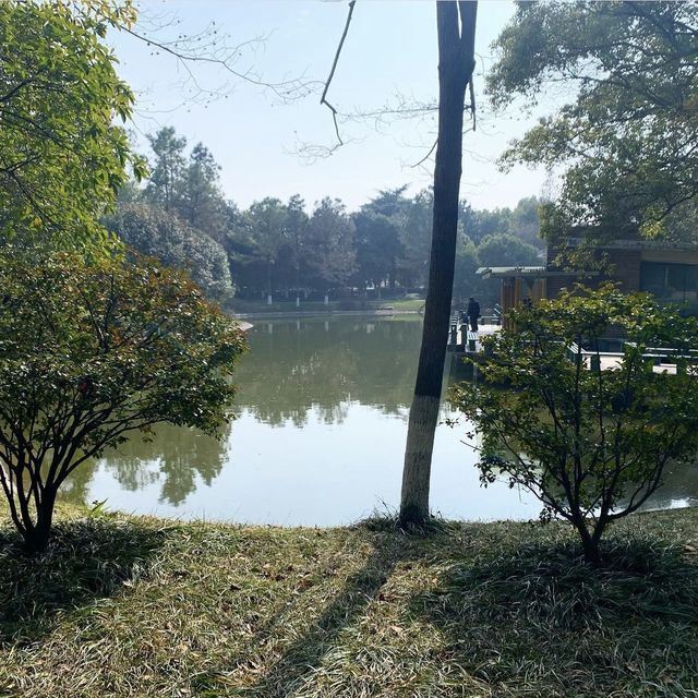 Lushu Park - Changzhou