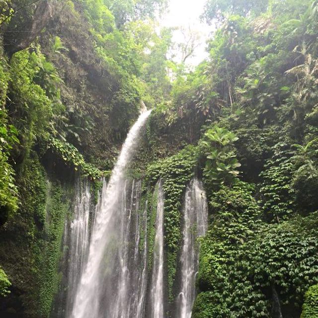 Hiking @ Mount Rinjani