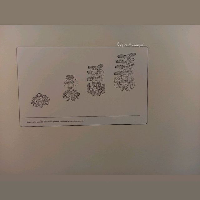 Art Exhibition @ Orchard