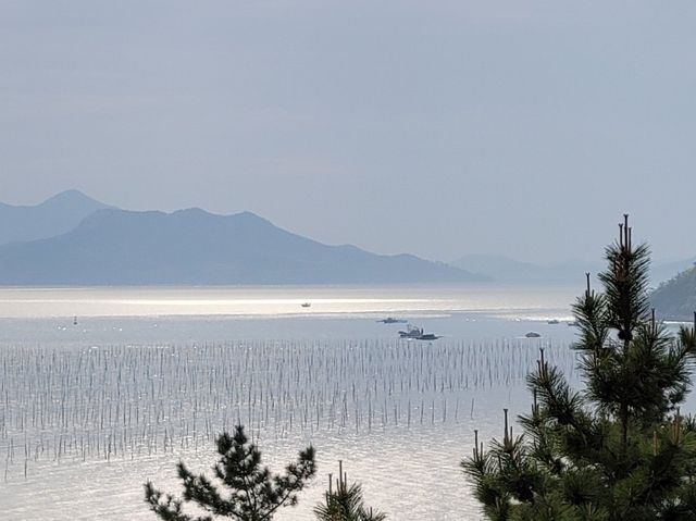 신안군 증도 태평염생식물원