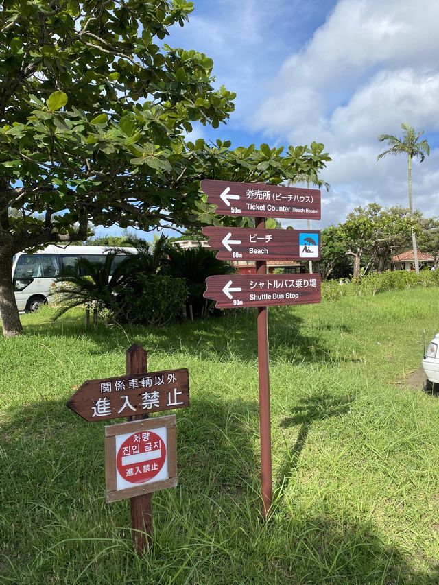 沖縄🌴ブセナ海中公園はやばい！映えオーシャンビュー🌊ビーチもあります！