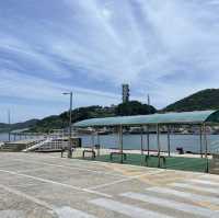 ⛴️ 추자도여행의 시작은 여기, 상추자도항