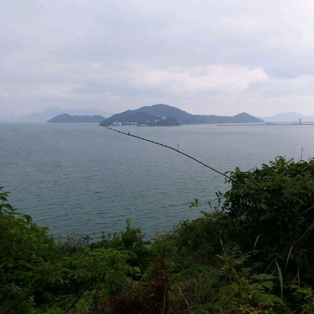 初级行山路線🚶‍♀️🚶‍♀️🚶‍♀️