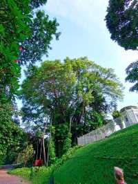 Instagramable Spot @FortCanning TreeTunnel