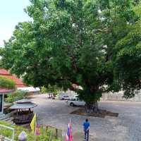 วัดเขาแก้ววรวิหาร วัดโบราณบนยอดเขา อ.เสาไห้