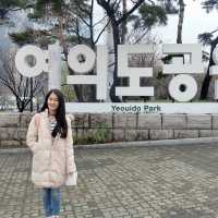 เที่ยวเทศกาลดอกไม้บานที่ Yeouido Park เกาหลี 