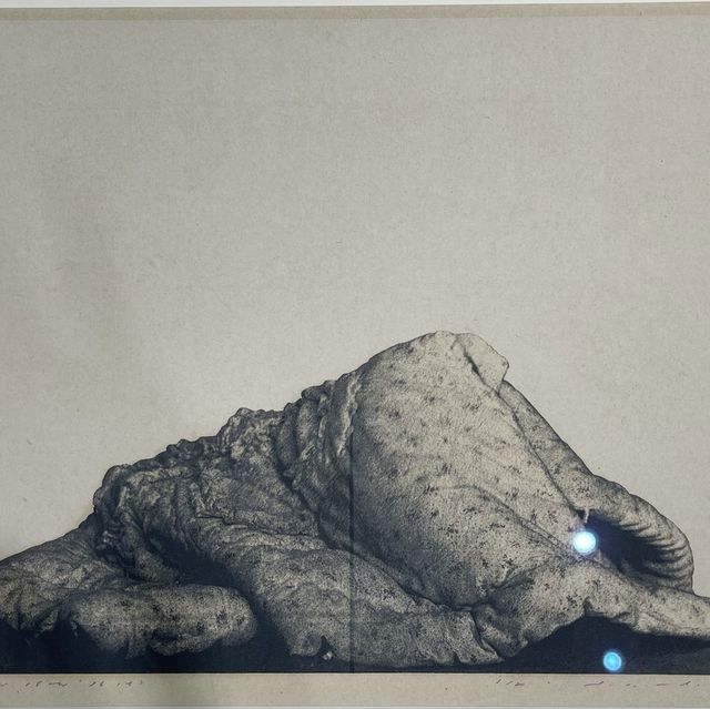 野田哲也:無盡的愛 野田哲也:無盡的愛