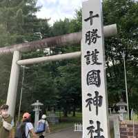 帯広神社夏詣　神秘的な緑の池と花手水🌺
