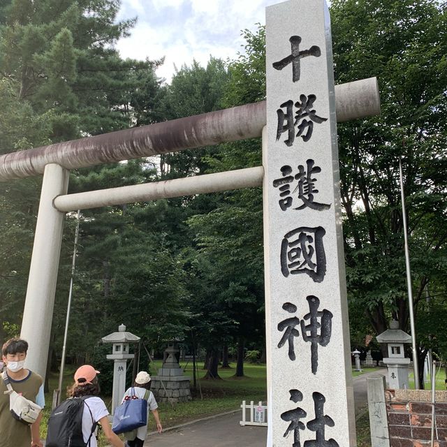 帯広神社夏詣　神秘的な緑の池と花手水🌺