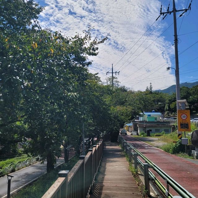 탄소발자국 하동십리벚꽃길 산책 