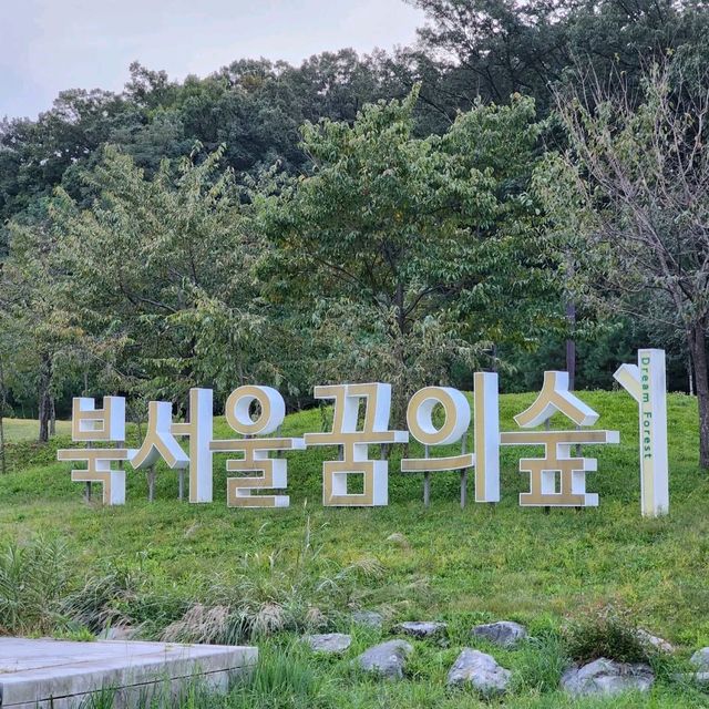 피크닉명소 "북서울꿈의숲"