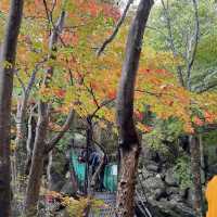 지리산 국립공원 단풍놀이🍁🍂