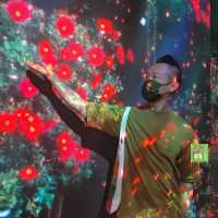 沉浸式數碼藝術博物館 ARTE M 登陸香港