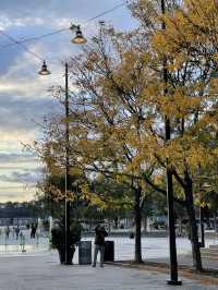Circle Line Sightseeing Cruises 🍁 뉴욕 단풍 명소