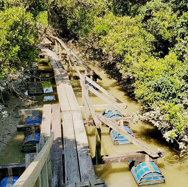 Exploration in Mai Po Nature Reserve