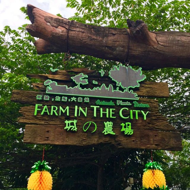 #Farm In The City