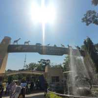Indore zoo worth one day trip