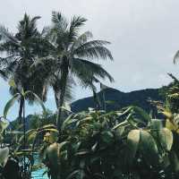 Damai dekat Damai