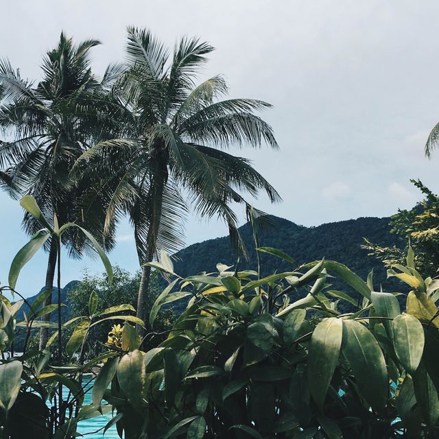 Damai dekat Damai