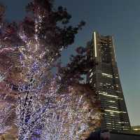 【横浜】マークイズみなとみらいのイルミネーションと紅葉のコラボレーション