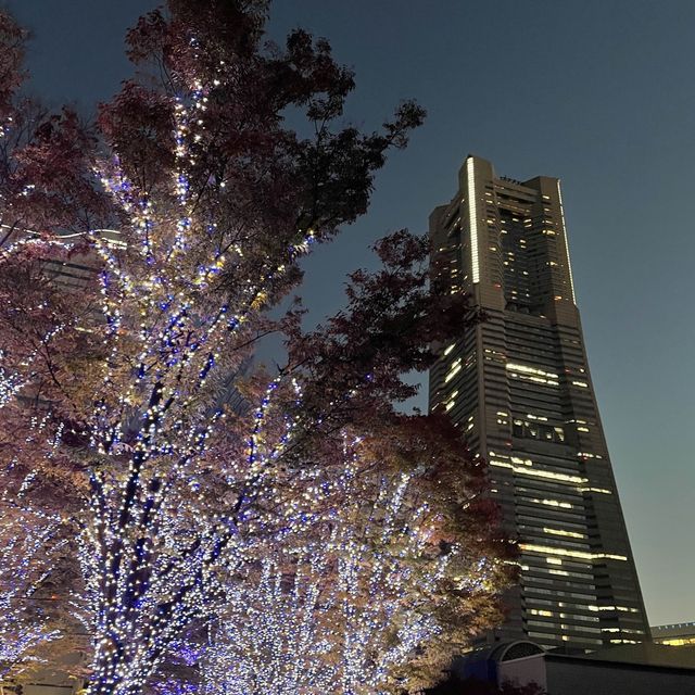 【横浜】マークイズみなとみらいのイルミネーションと紅葉のコラボレーション