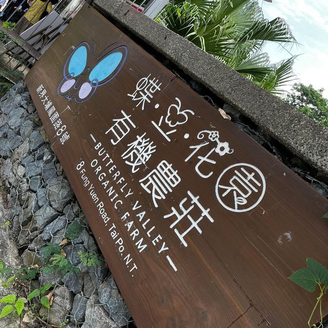 大埔一日遊好去處👫👨‍👩‍👧‍👦