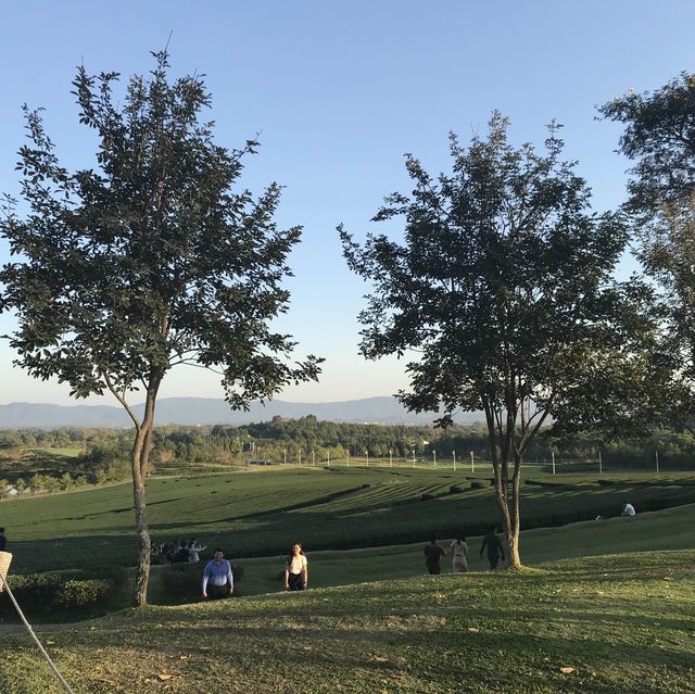 SinghaPark  .. ChiangRai 🌱🌿