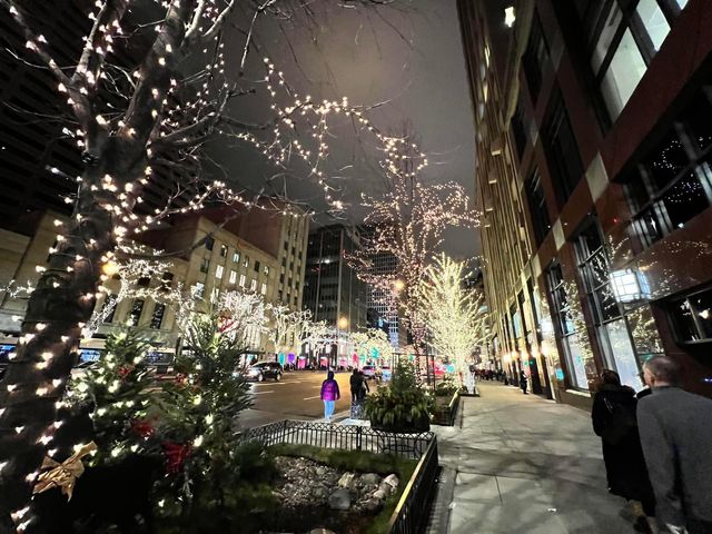 Evening Walk - Chicago during Christmas 